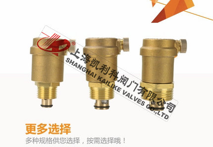 AVAX自動排氣閥選擇